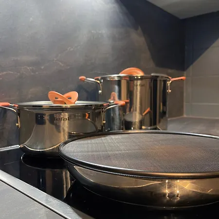 Metropolitan Am Schlosspark 公寓 帕德博恩