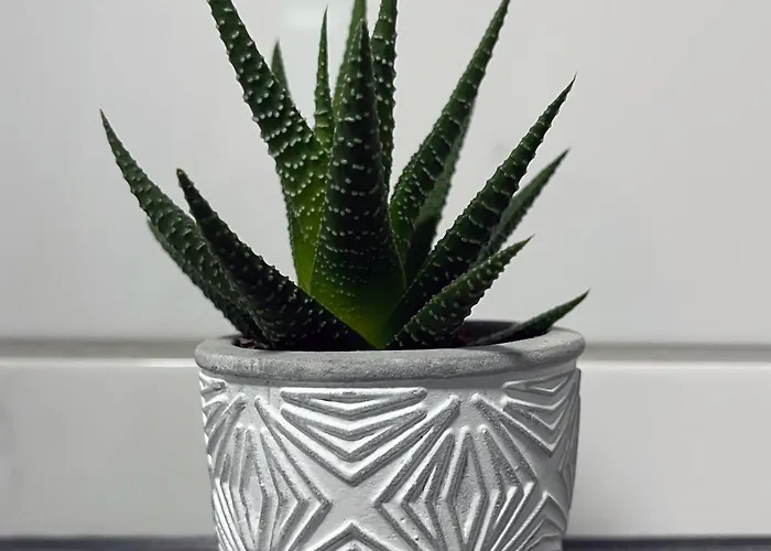 Metropolitan Am Schlosspark Lejlighed