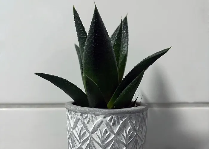 Metropolitan Am Schlosspark Lejlighed *